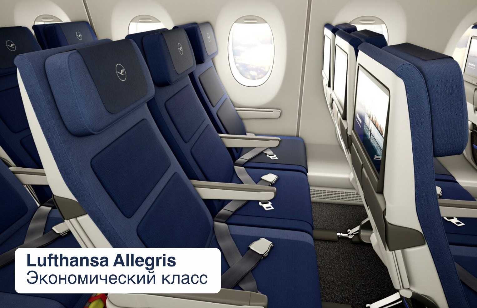 Экономический класс Lufthansa Allegris